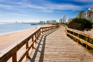 Deck at the beach in Punta del Este Deck at the beach in the seaside of Punta del Este (photo via brupsilva / iStock / Getty Images Plus)