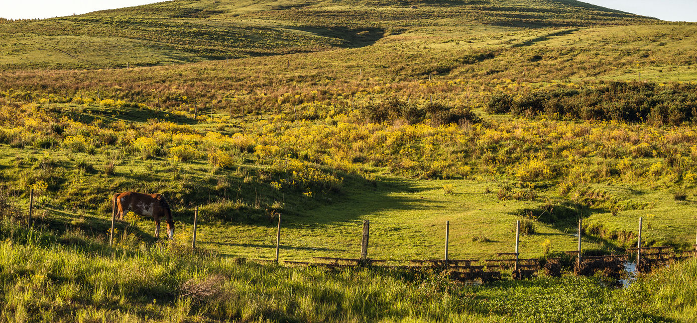 Image: The Rice Route in Uruguay offers the best landscapes for photography lovers. (Photo via xeni4ka / iStock / Getty Images Plus).