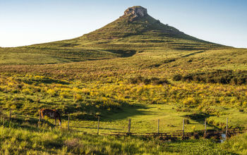 Idyllic landscape of Batovi Hill, Tacuarembo in north-central Uruguay (photo via xeni4ka / iStock / Getty Images Plus)