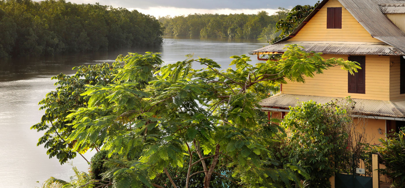 Image: Suriname is a biodiversity-rich Caribbean country that visitors can enjoy in various protected areas. (JJS-Pepite / iStock / Getty Images Plus)