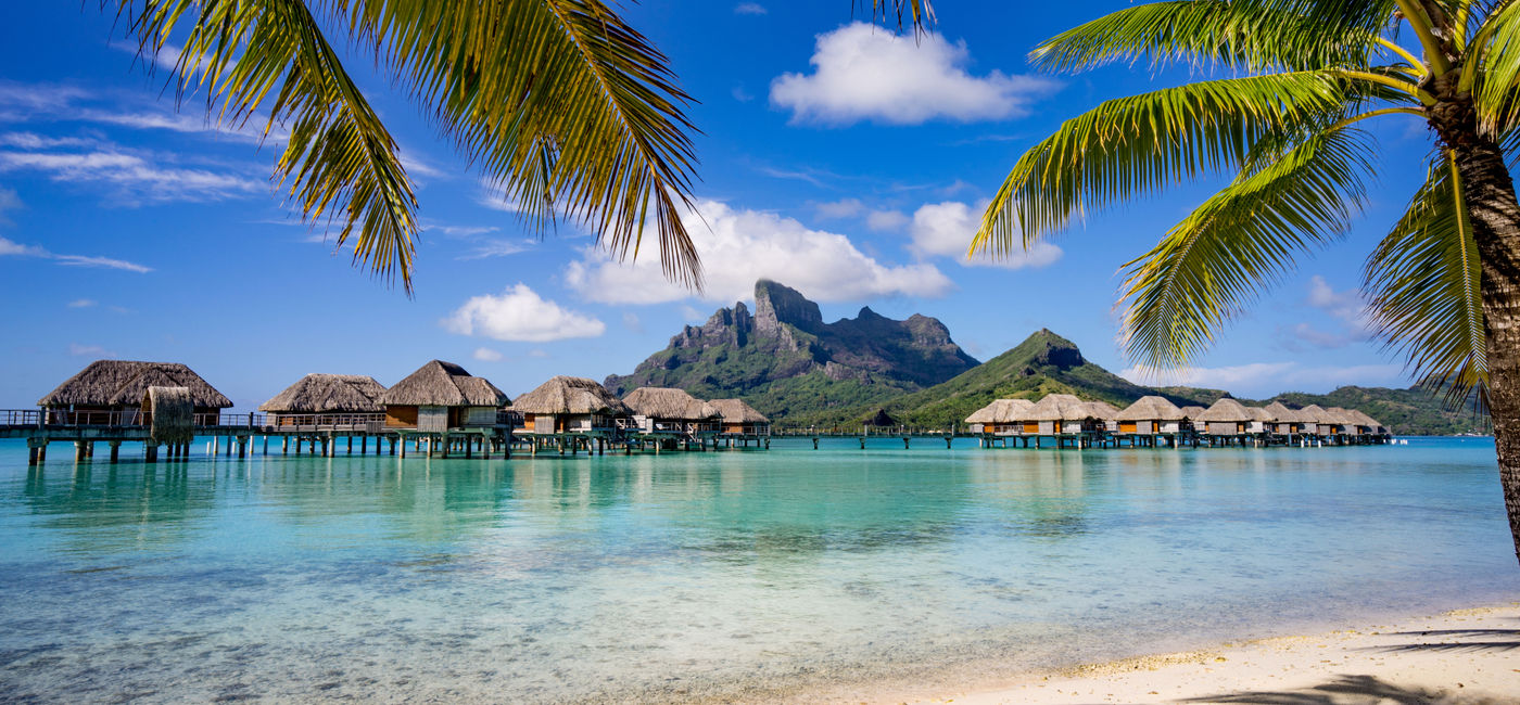 Image: Bora Bora framed by palm trees (photo via rebelml / iStock / Getty Images Plus)