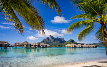 Beautiful scenic view of Bora Bora framed by palm trees (photo via rebelml / iStock / Getty Images Plus)