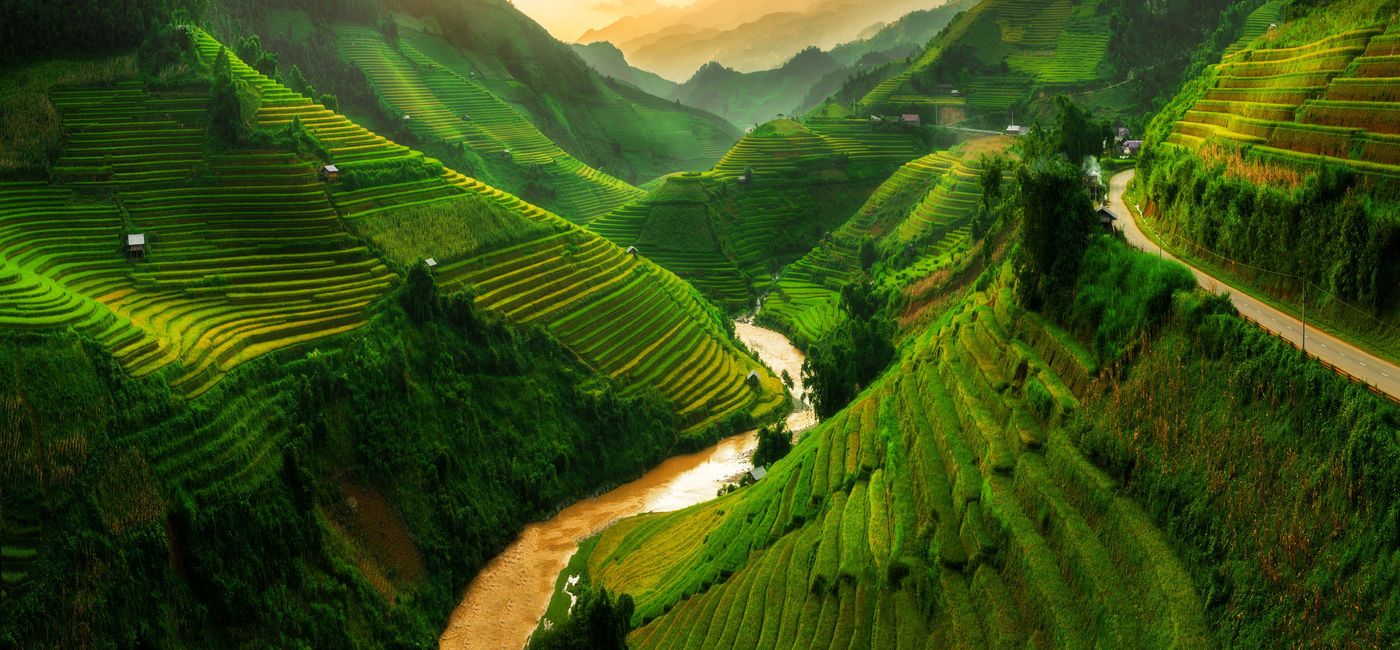 Image: PHOTO: Terraced rice field landscape near Sapa in Vietnam. (photo via NanoStockk / iStock / Getty Images Plus)
