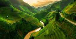 Terraced rice field landscape near Sapa in Vietnam. Mu Cang Chai Rice Terrace Fields stretching across the mountainside, layer by layer reaching up as endless, with about 2,200 hectares of rice terraces, of which 500 hectares of terraces of 3 communes suc