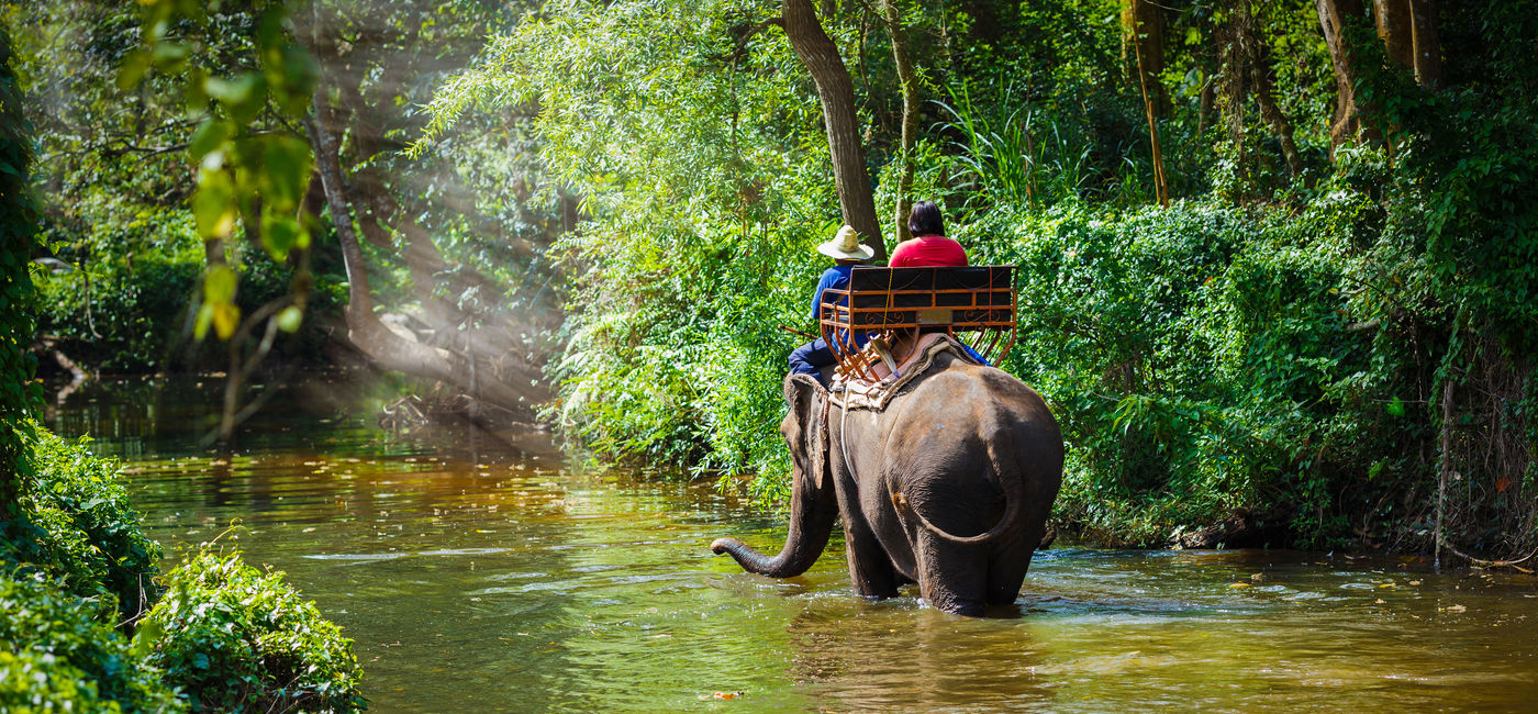 Image: PHOTO: A coalition is trying working to eliminate elephant riding. (photo via Pixfly/iStock/Getty Images Plus) (Pixfly / iStock / Getty Images Plus)
