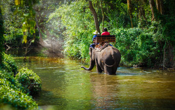 Traveler riding on elephants Trekking in Thailand (photo via Pixfly / iStock / Getty Images Plus)