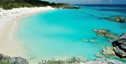 Pink beach in Bermuda islands (Photo via dimarik / iStock / Getty Images Plus)