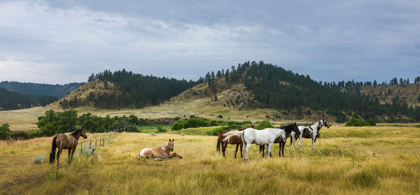 Image: About 12.4 million travelers visited Montana last year. (Photo via Danielrao / iStock / Getty Images Plus)