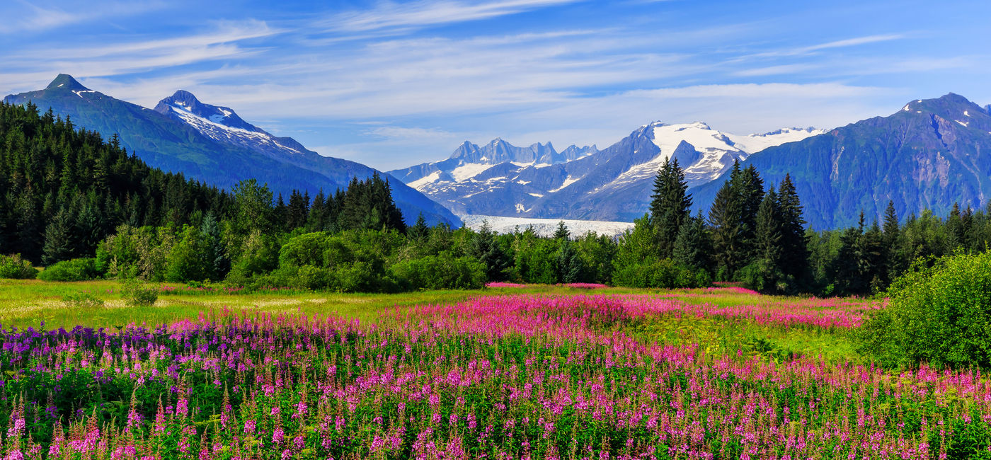 Image: PHOTO: Mendenhall Glacier Viewpoint with Fireweed in bloom. Juneau, Alaska (sorincolac / iStock / Getty Images Plus)