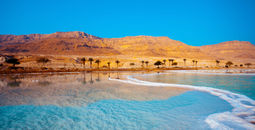 Dead Sea seashore with palm trees and mountains on background