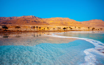 Dead Sea seashore with palm trees and mountains on background