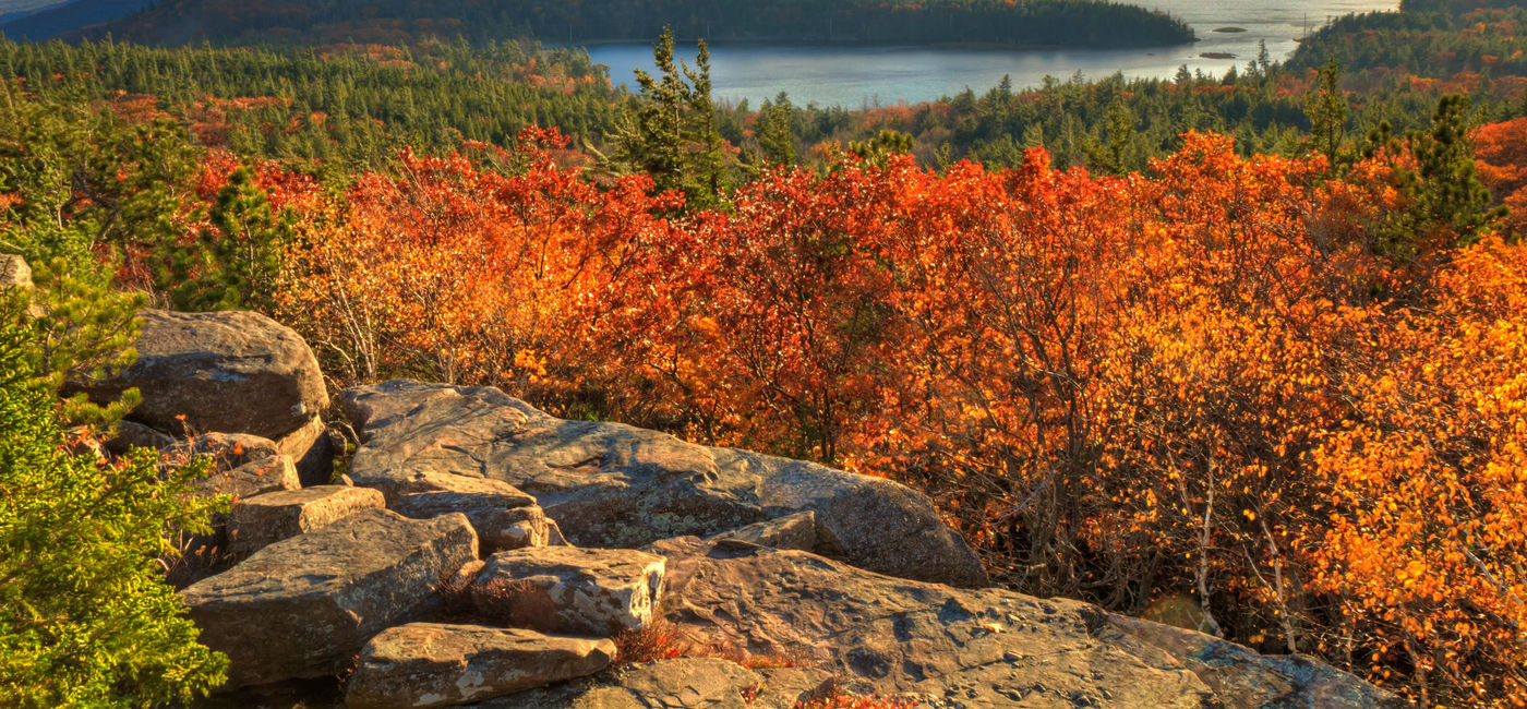Image: Afternoon sun in Autumn in the Catskills Mountains of New York (Photo via lightphoto / iStock / Getty Images Plus)