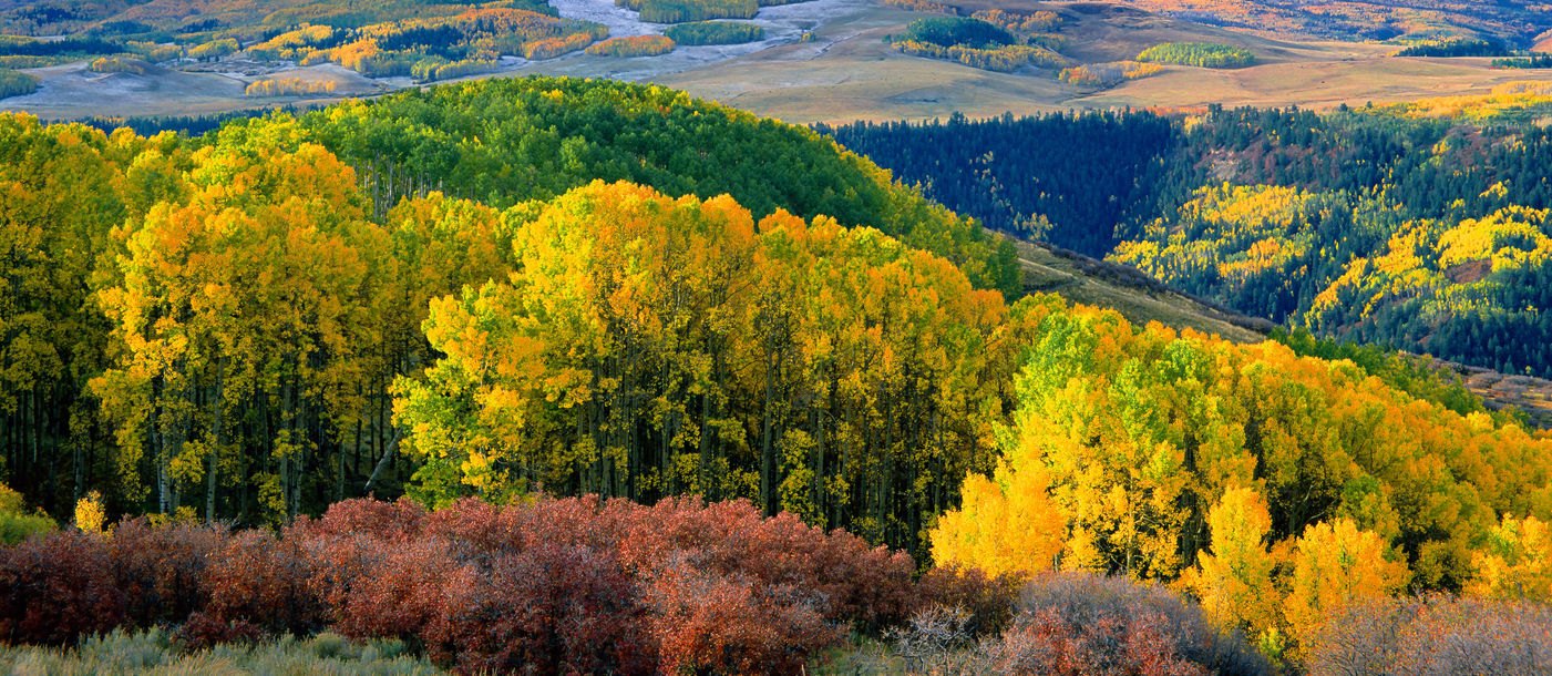 Autumn aspens and Wilson Peak in the San Miguel Range - southwestern Colorado. (Phoot via sneffelsclimber / iStock / Getty Images Plus)