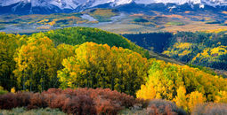 Autumn aspens and Wilson Peak in the San Miguel Range - southwestern Colorado. (Phoot via sneffelsclimber / iStock / Getty Images Plus)