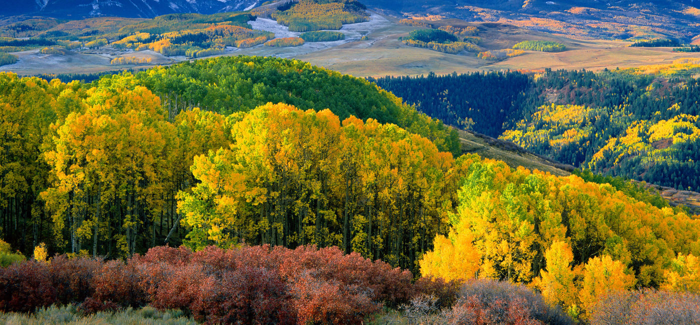 Image: Autumn aspens and Wilson Peak in the San Miguel Range - southwestern Colorado. (Phoot via sneffelsclimber / iStock / Getty Images Plus)