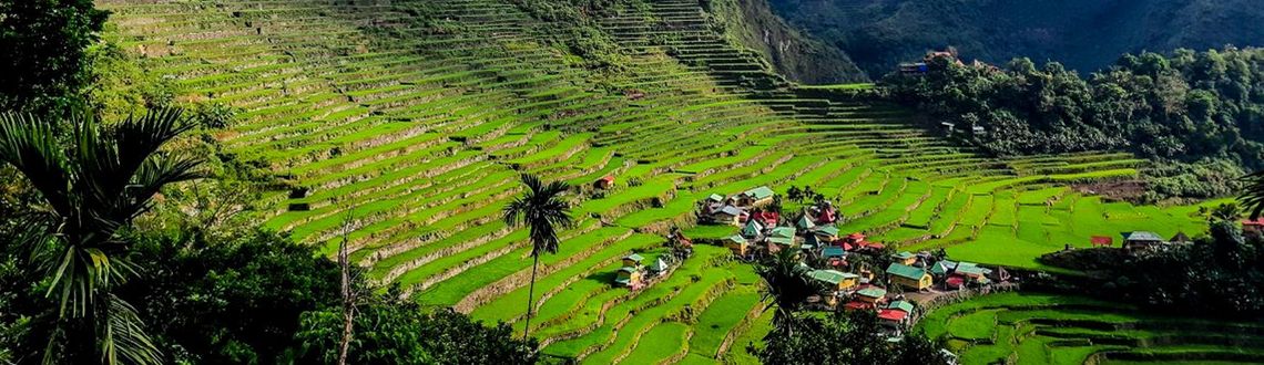 Batad Rice Terraces in the Philippines. Northern Philippines Adventure