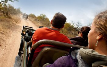 Explore Kruger & Victoria Falls