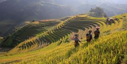 North & Central Vietnam: Hanoi, Hoi An & Countryside Adventures