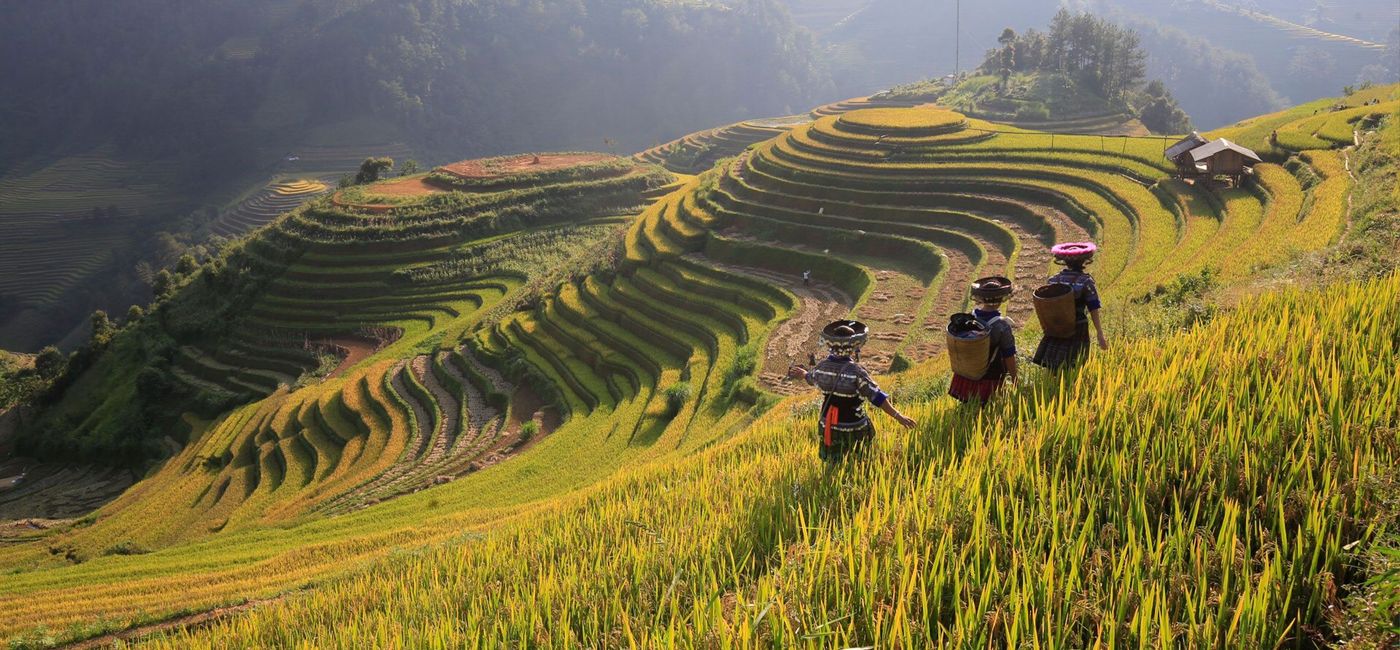 Image: North & Central Vietnam: Hanoi, Hoi An & Countryside Adventures (Photo Credit: Provided by GAdventures)