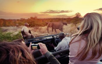 Explore Kruger National Park