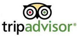 TripAdvisor Logo