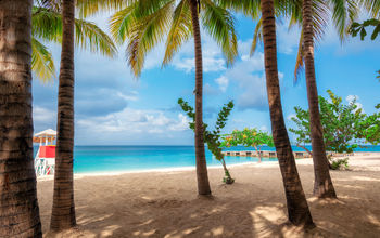 Jamaica beach with palm trees in Montego Bay on Caribbean see. (lucky-photographer / iStock / Getty Images Plus)