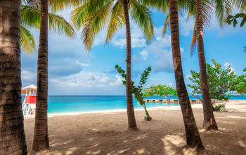 Jamaica beach with palm trees in Montego Bay on Caribbean see. (lucky-photographer / iStock / Getty Images Plus)