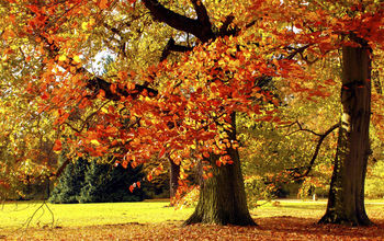 Thinkstock_Autumn
