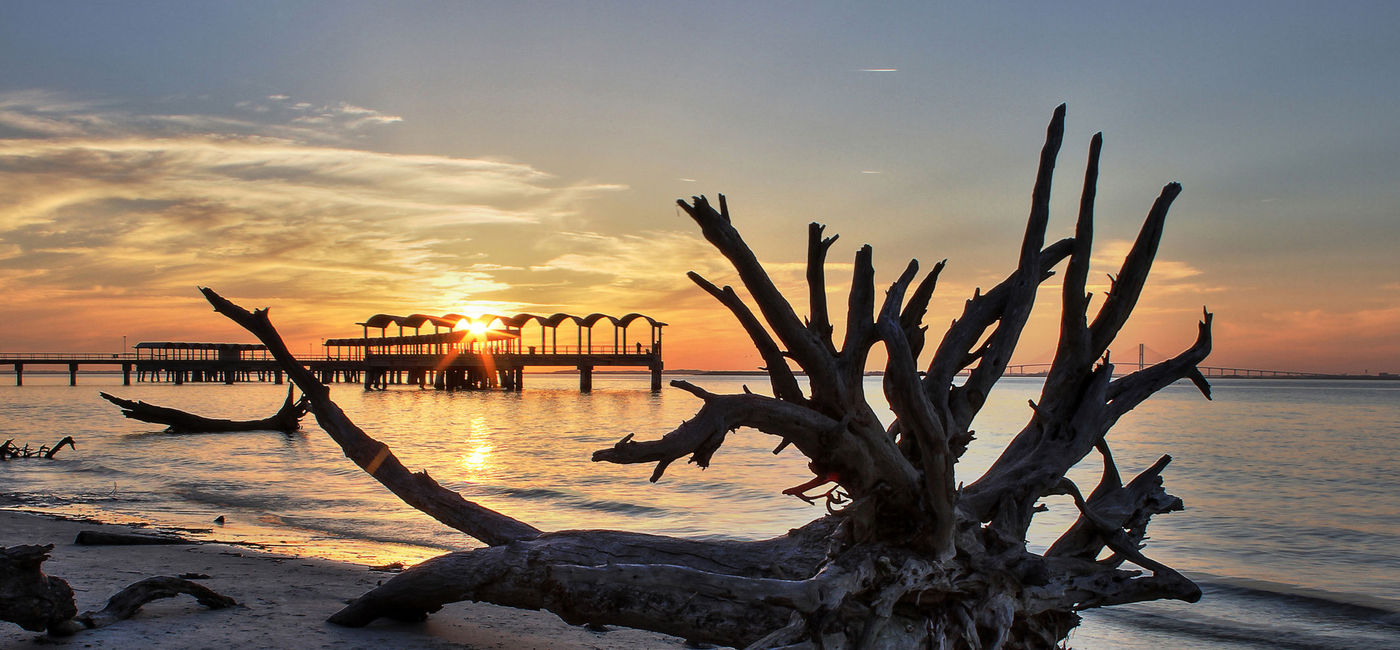 Image: Fishing Pier from Driftwood Beach, Jekyll Island, Georgia. (Photo via  elan7t50 / iStock / Getty Images Plus)