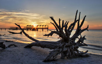 Fishing Pier from Driftwood Beach, Jekyll Island, Georgia.