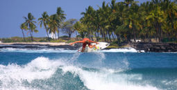 Surfer flying above wave crest with palm trees in background