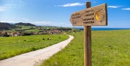 El Camino de Santiago, El Camino, The Way of St. James, the way, Spain