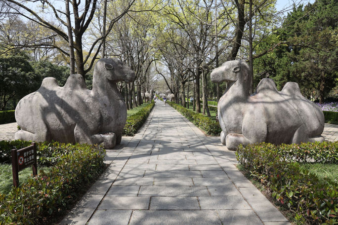 Statues of animals line the path towards the UNESCO-designated emperor's tomb in Nanjing. tombs, mausoleums, UNESCO sites, Nanjing, Xiaoling Tomb, Nanjing Tourism