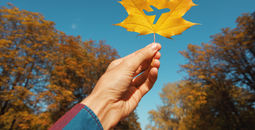 Autumn, Fall, seasons, leaf, airplane, plane