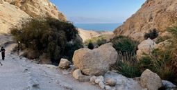 Ein Gedi Nature Reserve