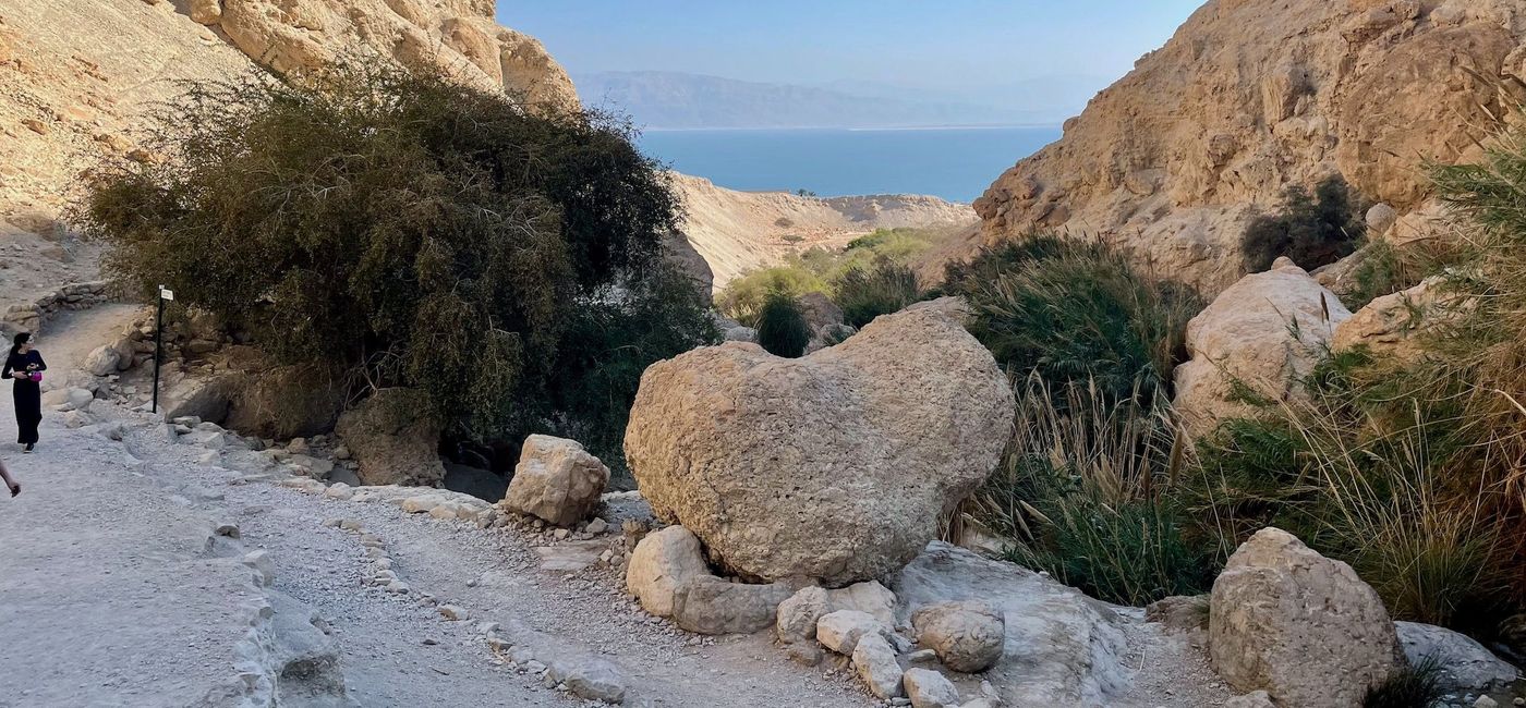 Image: Explored a desert oasis at Ein Gedi Nature Reserve. (Photo Credit: Bruce Parkinson)