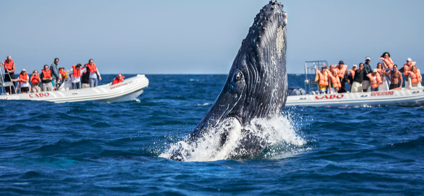 Image: Destinations such as Los Cabos depend more than 90% of their economy on tourism. (Los Cabos Tourism Board)