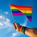 LGBTQ flag.