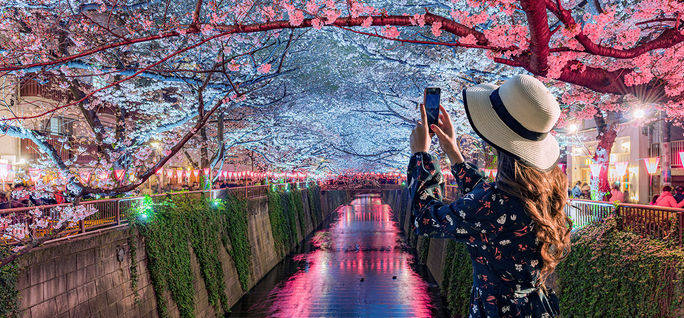 Young tourists admire the beauty of cherry blossom trees in Tokyo at the Meguro River, Japan. Young tourists admire the beauty of cherry blossom trees in Tokyo at the Meguro River, Japan.