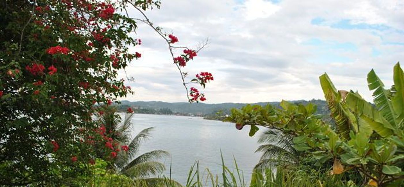 Image: PHOTO: Port Antonio, Jamaica (Rosalind Cummings-Yeates)