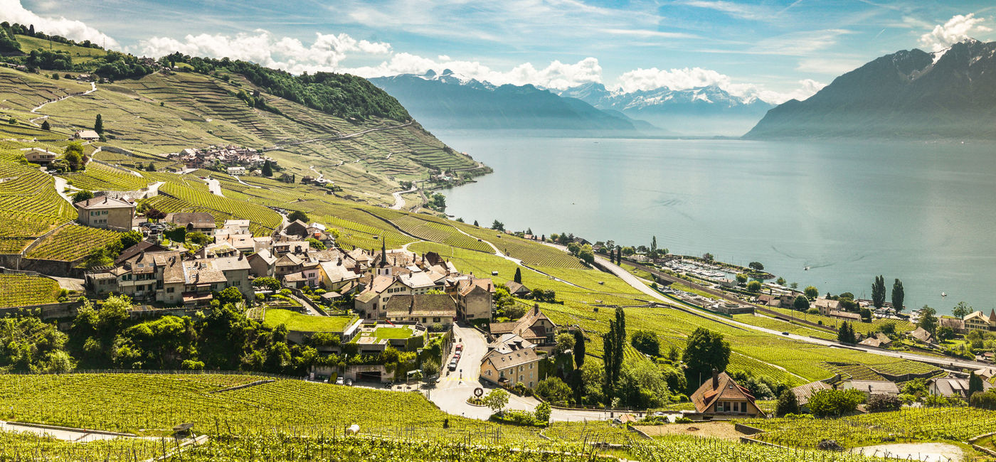 Image: Lavaux © Montreux-Vevey Tourisme / Maude Rion (Courtoisie: Suisse Tourisme)