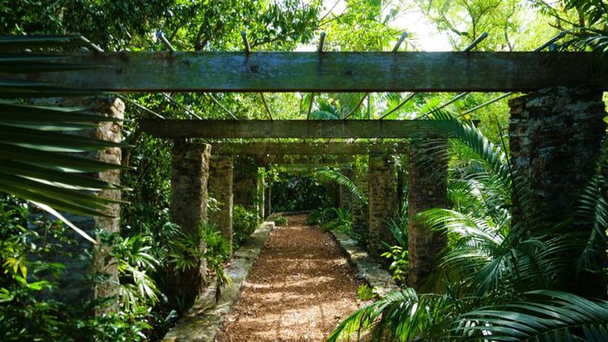 Nassau Paradise Island conservation Nassau Paradise Island conservation