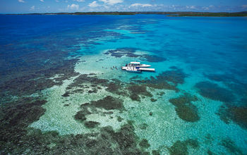 Stingray City, Antigua & Barbuda