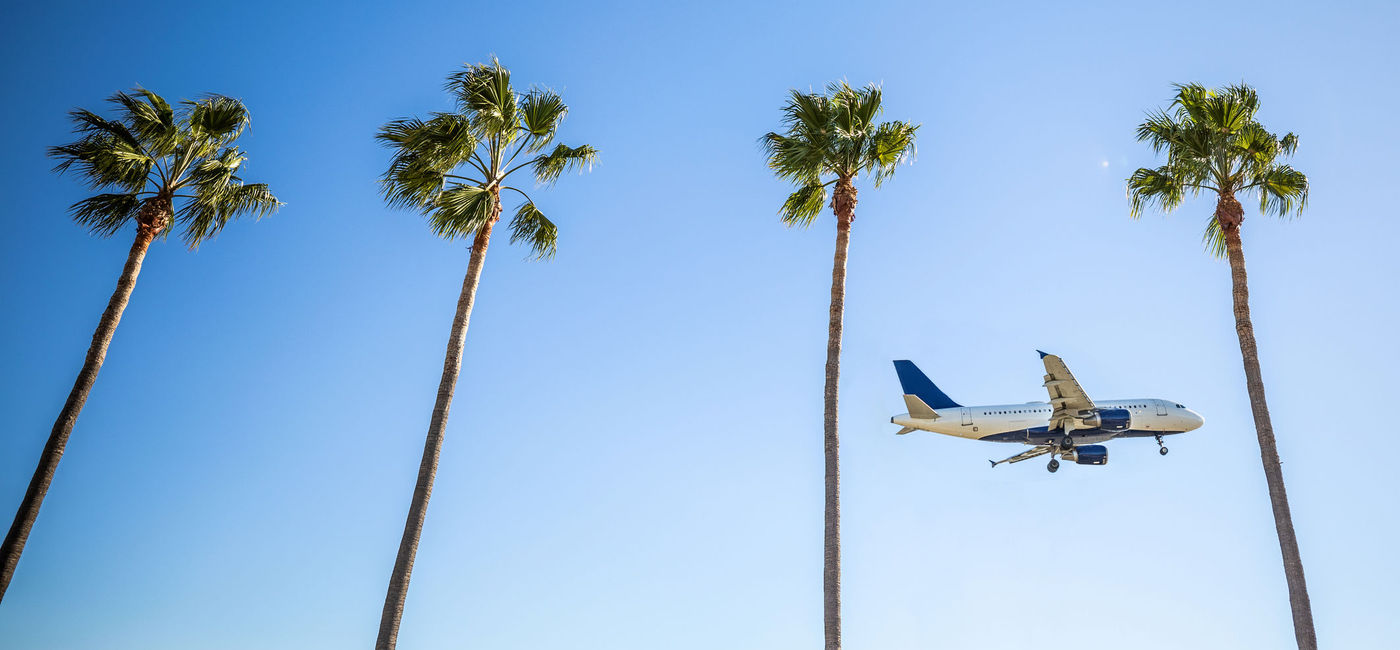 Image: International flight landing in Los Angeles (LeoPatrizi / iStock / Getty Images Plus)
