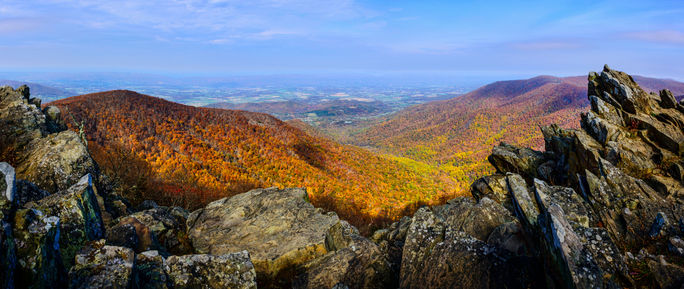 Fall foliage Shenandoah National Park, Virginia