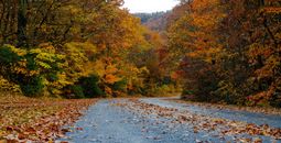 Great Smoky Mountains National Park, North Carolina