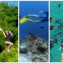 Riviera Nayarit, Activities, Winter activities, Mexico