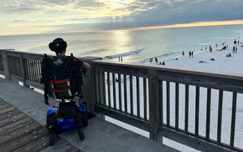Panama Beach City accessibility campaign