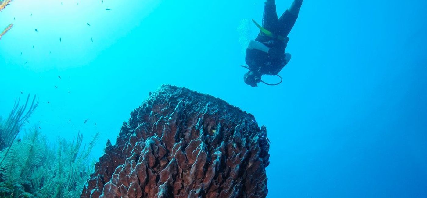 Image: Belize's Barrier Reef is among the natural attractions accessible to visitors. (Photo courtesy of Belize Tourism Board)