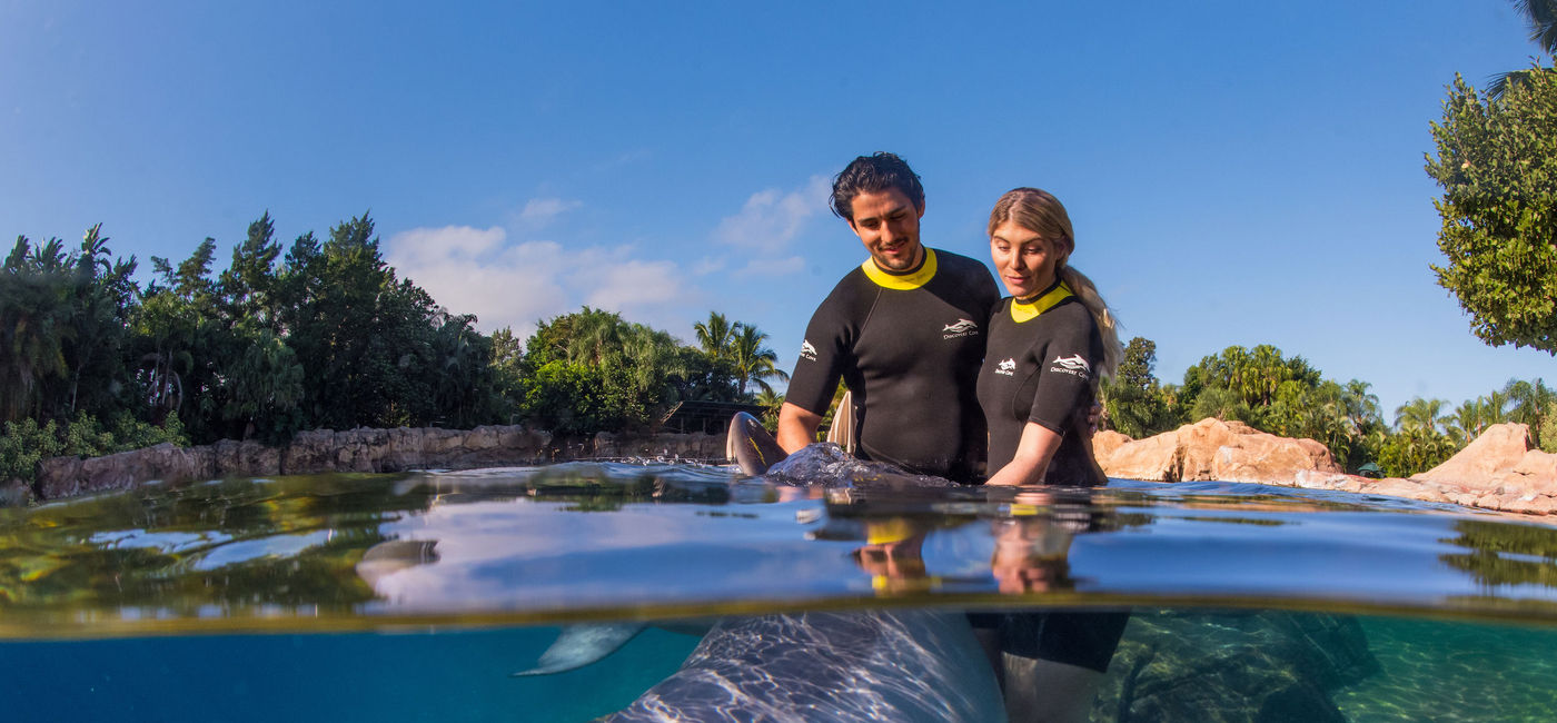 Image: Dolphin Lagoon at Discovery Cove, Orlando, Florida. (Photo courtesy of SeaWorld Parks & Entertainment)